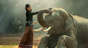 Motiv Mädchen mit Elefant